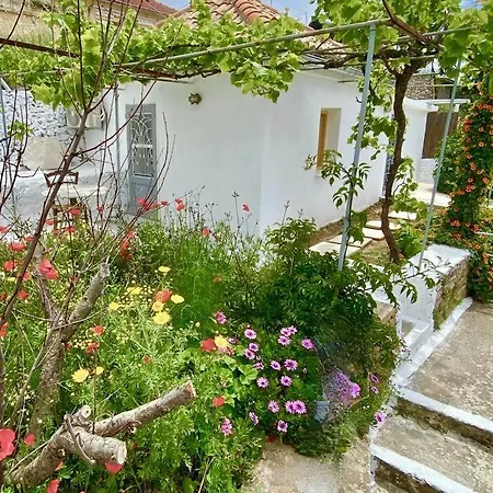 Stylish Vathy With Sea View *