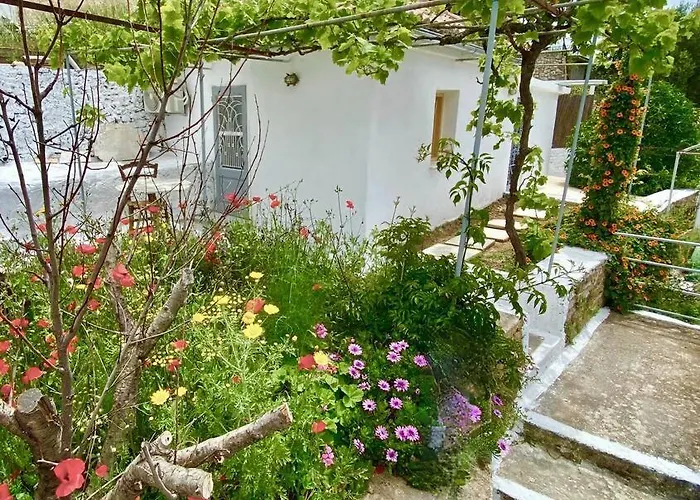 Stylish Vathy With Sea View *